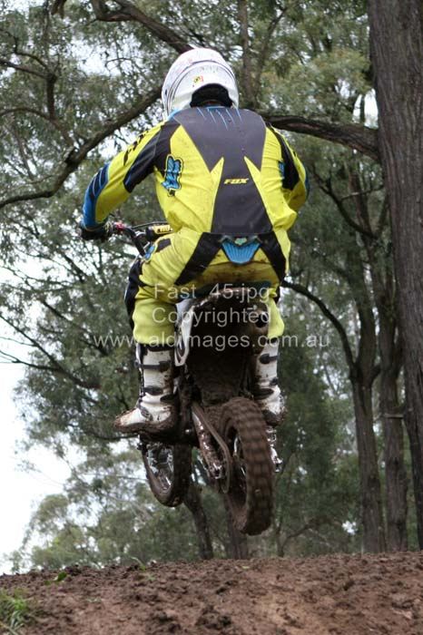 444x677 pixels (79K)